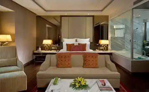 Radisson Blu Jaipur - 17