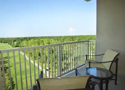 Waldorf Astoria Orlando - 9