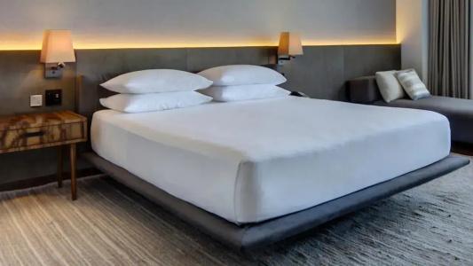 Hyatt Regency Andares Guadalajara - 87