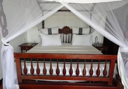 Suite Lanka - 49