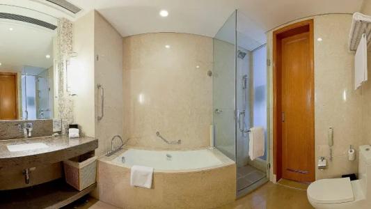 Holiday Inn Hangzhou Cbd, An Ihg - 39