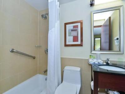 Holiday Inn Express Manhattan Midtown West, An Ihg - 38