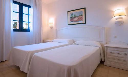 Relaxia Olivina - 30