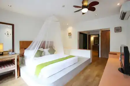 Mimosa Resort & Spa - 51