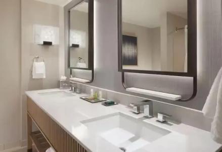Hilton Anatole - 76