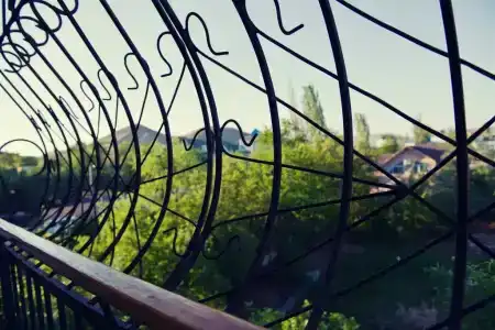 Прохлада Бриз - 51