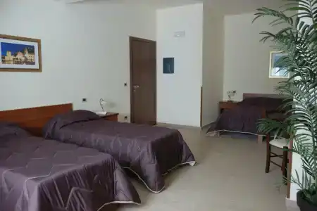 Sofia - 19