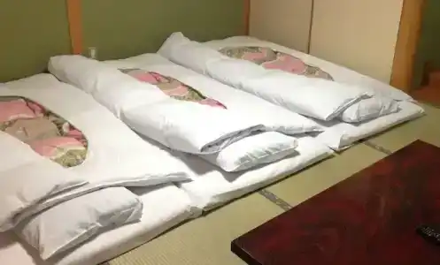 Nakayasu Ryokan - 30