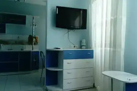 Кипарис на Красноармейском - 11