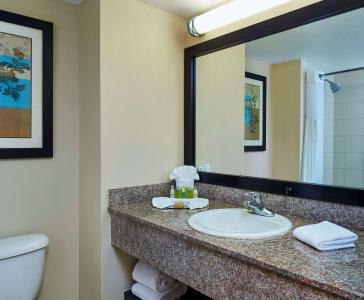 DoubleTree by Hilton Orlando at SeaWorld - 75