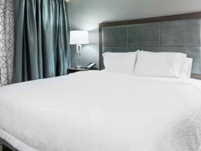 Hampton Inn & Suites Airport Avion Park Westshore - 53