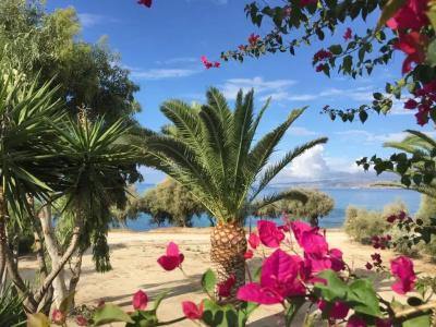 Thalassa Naxos - 36