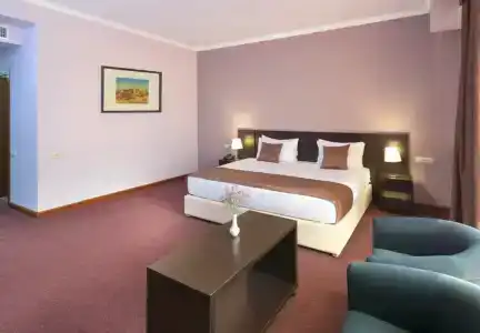 Ani Central Inn - 70