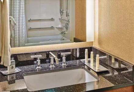 DoubleTree by Hilton Seattle Airport - 43