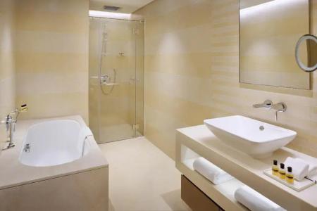 Hyatt Regency Dubai Creek Heights - 57