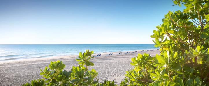 Pelican Grand Beach Resort, a Noble House Resort - 20