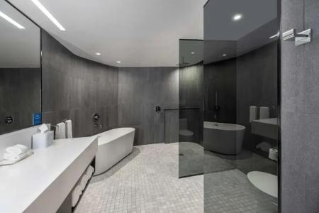 The Statler Dallas, Curio Collection By Hilton - 61