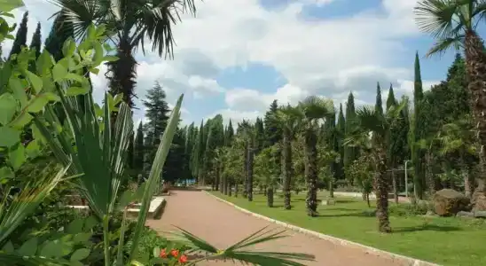 Спартак - 11
