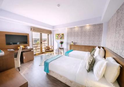 Phoenicia Comfort - 22