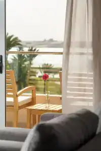 Mercure Ismailia Forsan Island - 48