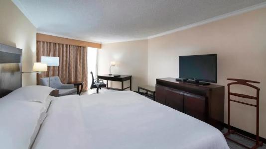 Sheraton Santo Domingo - 42