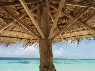 Vaali Beach Lodge Maldives - 21