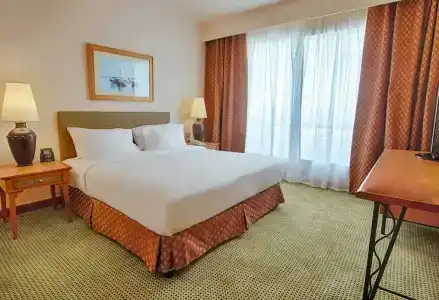 Hilton Alexandria Green Plaza - 40