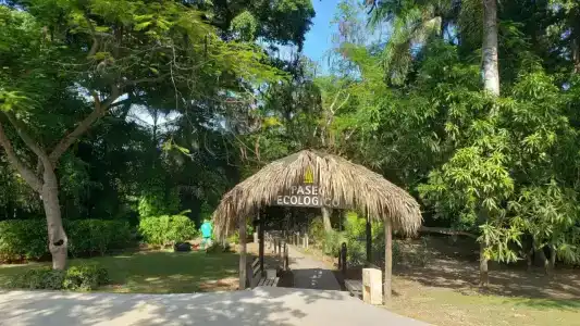 Grand Bavaro Princess - All Inclusive - 8