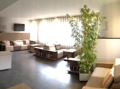 Palme - 3