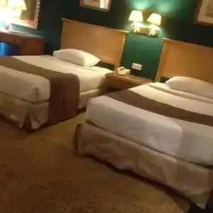 Amarante Pyramids - 43