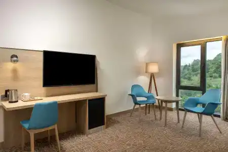 Park Inn by Radisson Istanbul Odayeri - 33
