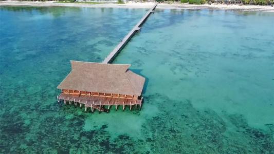 Pongwe Bay - 24