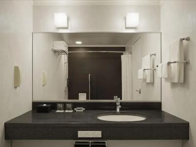 Sheraton Miyako Tokyo - 41