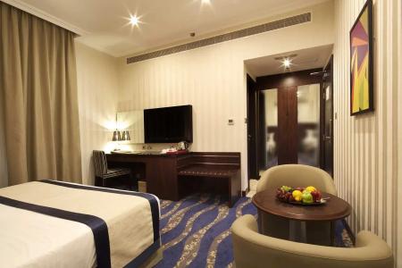 Raviz Center Point - 52