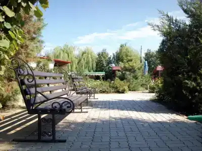 Триумф - 12
