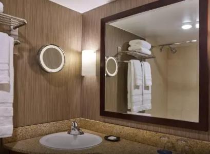 Sheraton Atlanta - 42