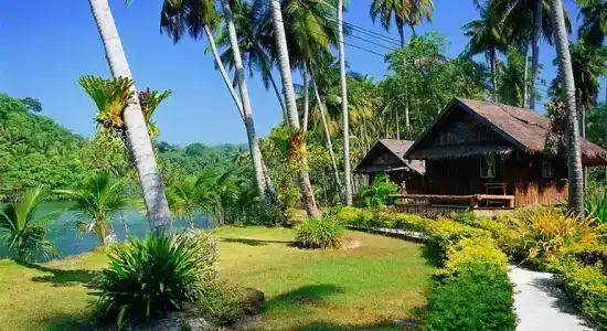 Koh Neverland Beach - 18