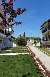 Ioli Village - 23