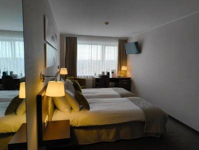 Mercure - 17