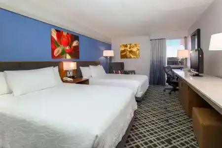 Hilton Garden Inn Dallas/Market Center - 41