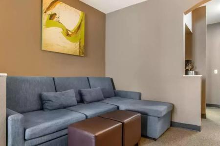 Comfort Suites Bush Intercontinental Airport - 27