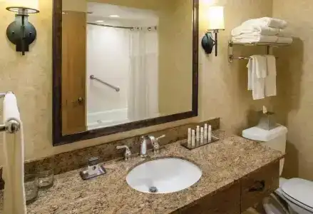 DoubleTree by Hilton Seattle Airport - 37