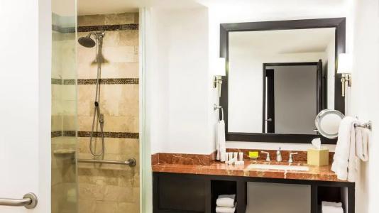 Le Meridien Mexico City - 74