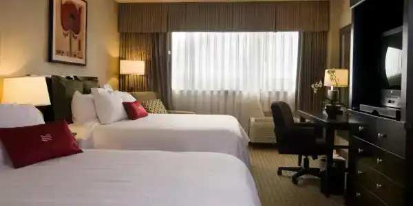 Comfort Inn & Suites San Antonio Airport - 28