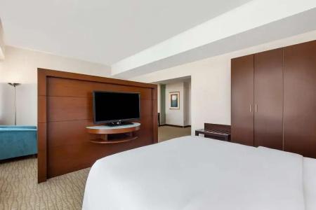 Radisson Blu Ankara - 49