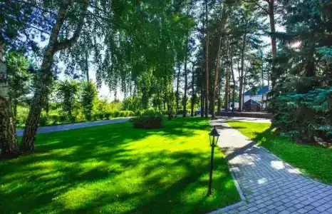 Сосновая Гора - 9