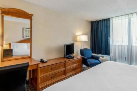 Clarion Anaheim Resort - 31