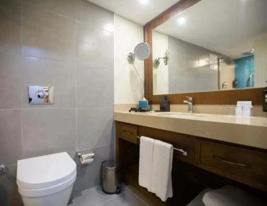 Ramada Plaza By Wyndham Istanbul Sultanahmet - 82