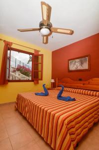 Bungalows Castillo Beach - 21