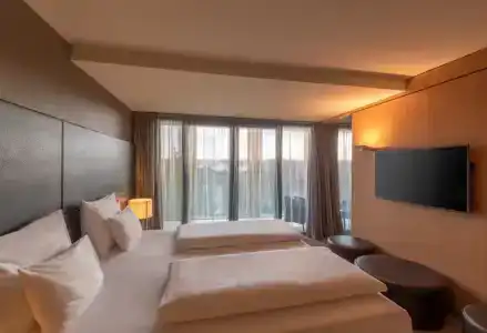 Radisson Blu Park Royal Palace Vienna - 61